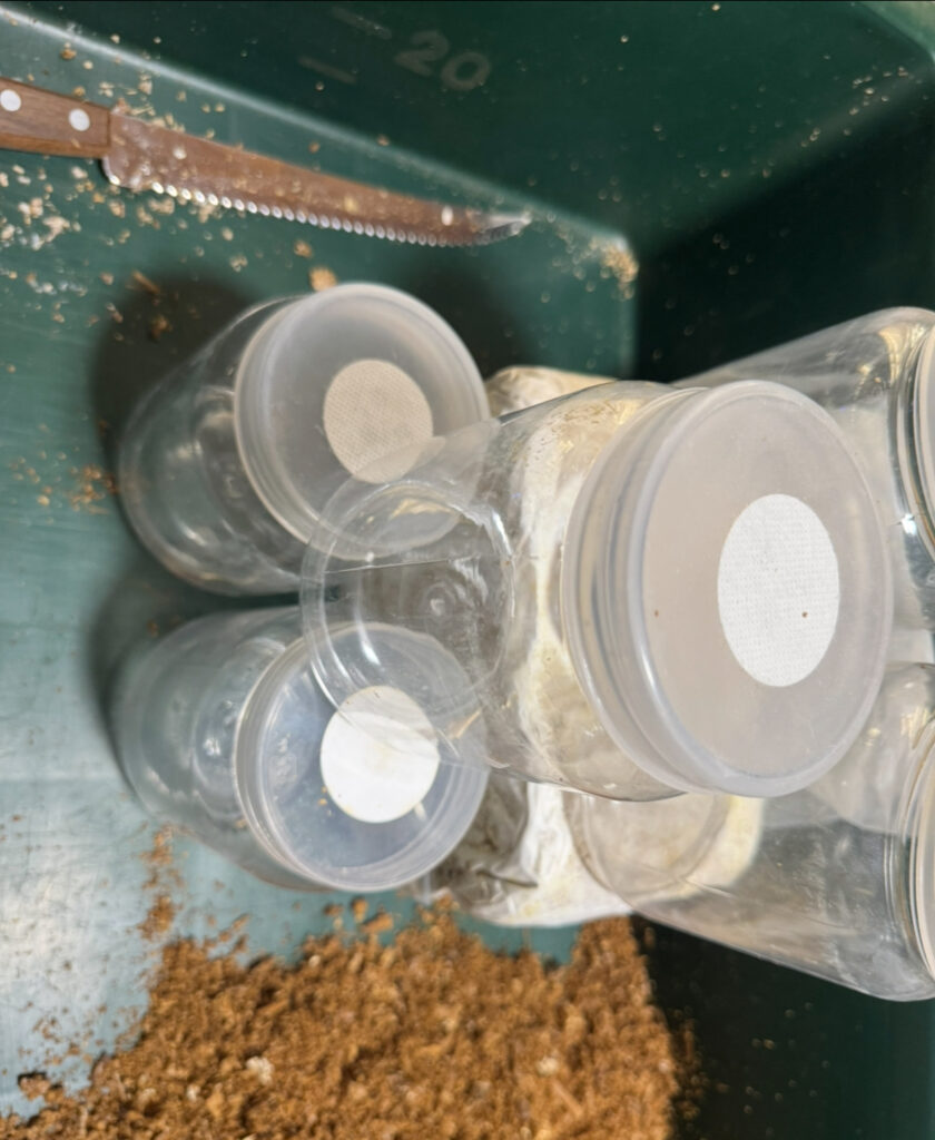 空の菌糸ボトル