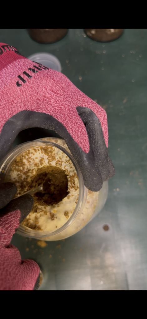 菌糸瓶に穴を開けている画像