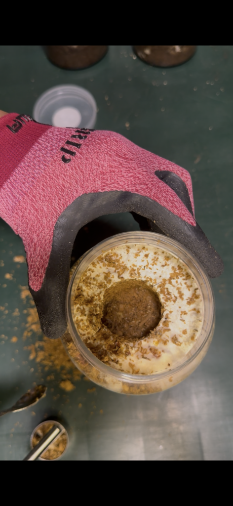 穴を開けた後の菌糸瓶