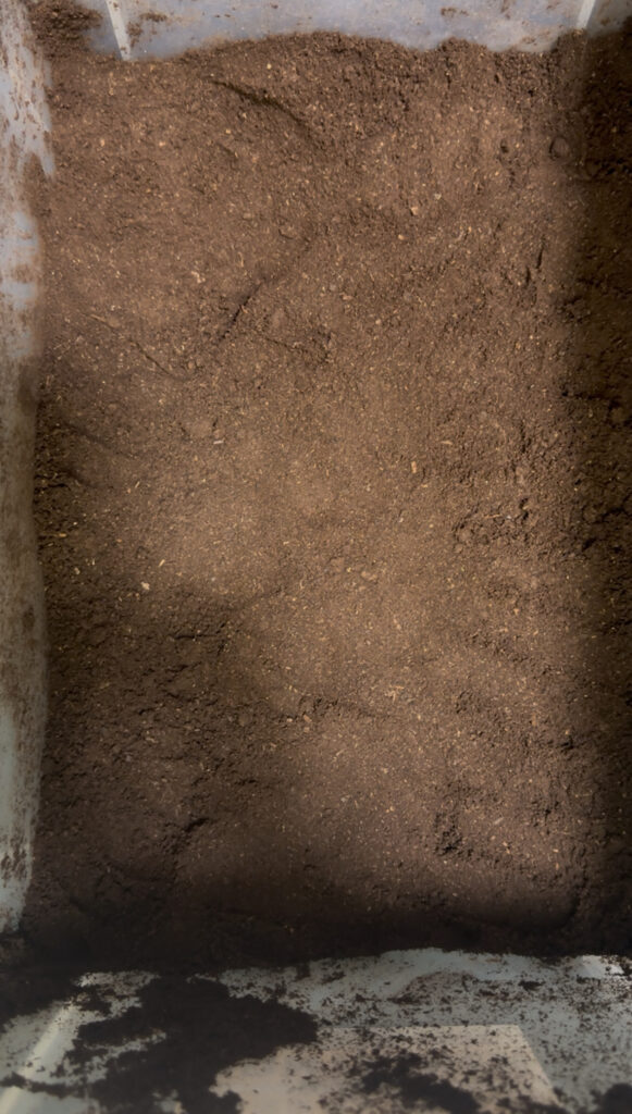 産卵セット一層目