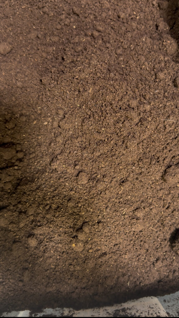 産卵セット上部