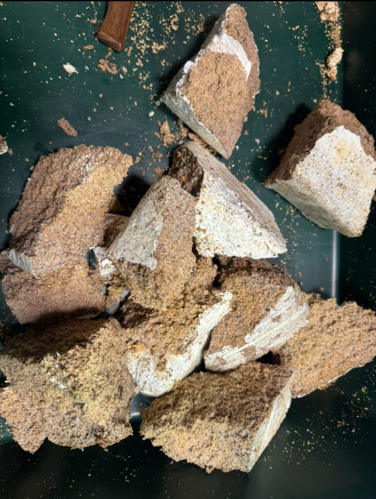 バラした菌糸ブロック