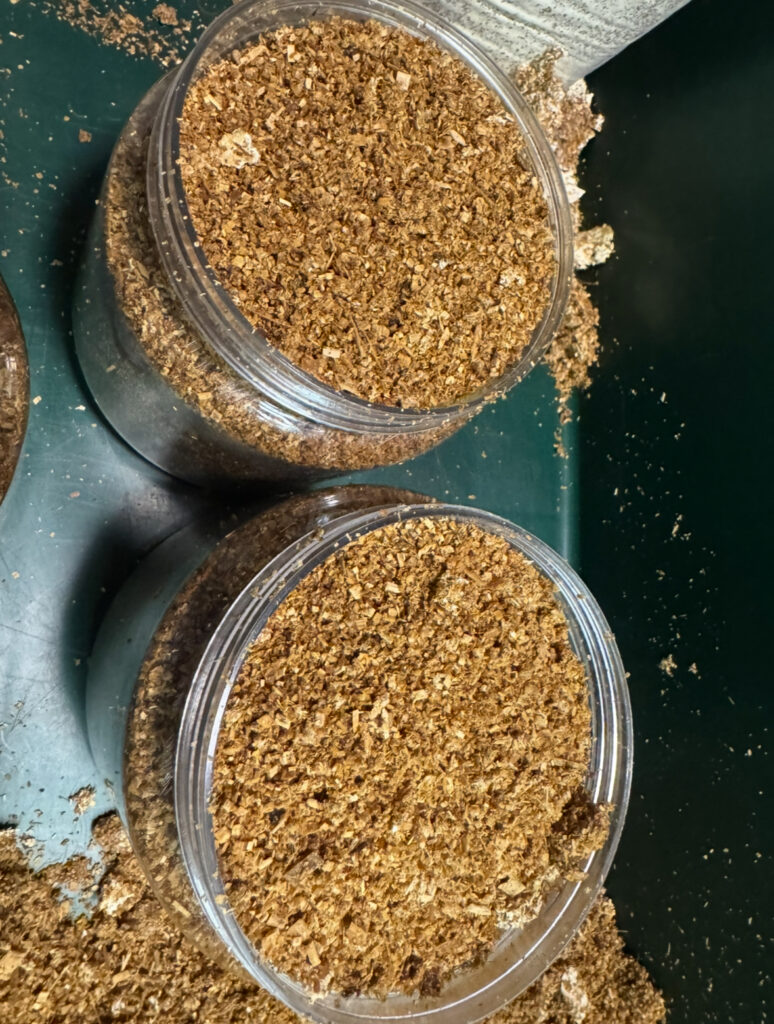 1500ボトルに軽く入れた菌糸