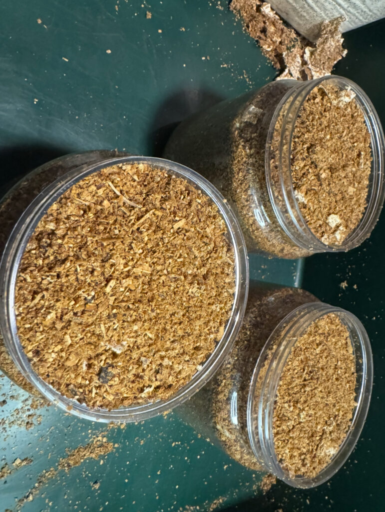 再度上から菌糸を足した菌糸瓶