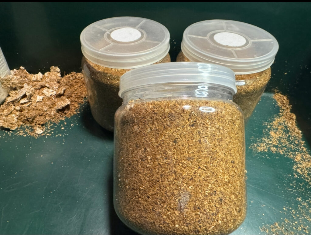 菌糸ボトル完成