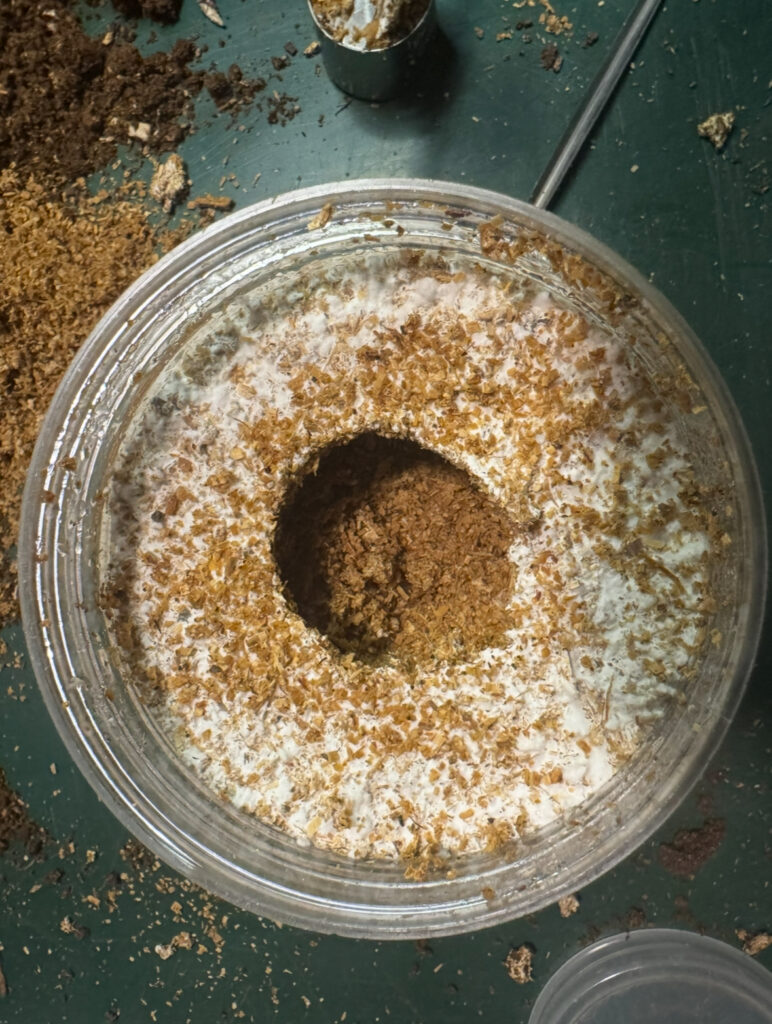 穴を開けた菌糸瓶