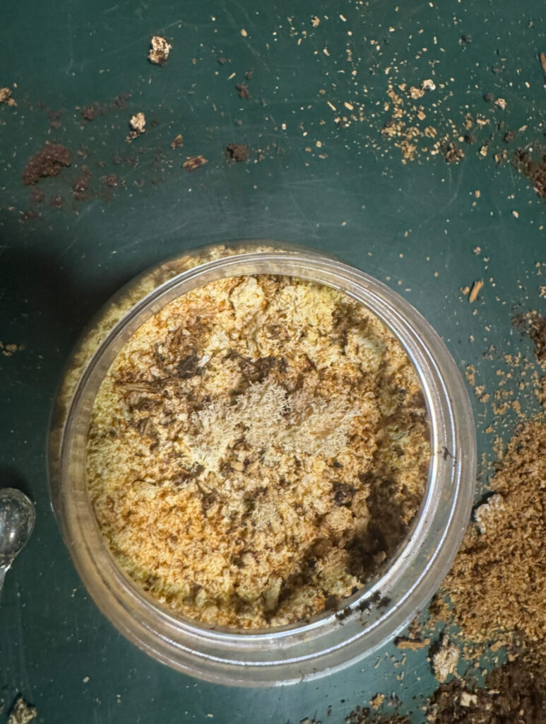 劣化した菌糸瓶