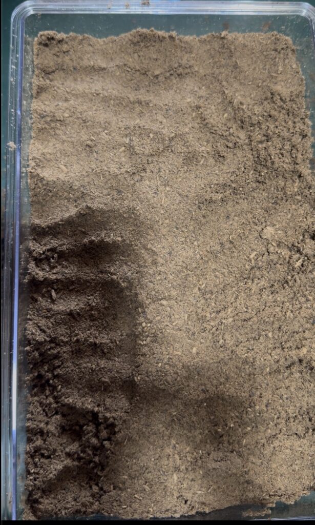 産卵セット組み4