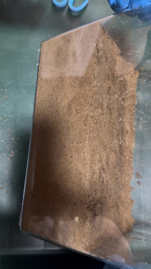 産卵セット組み2