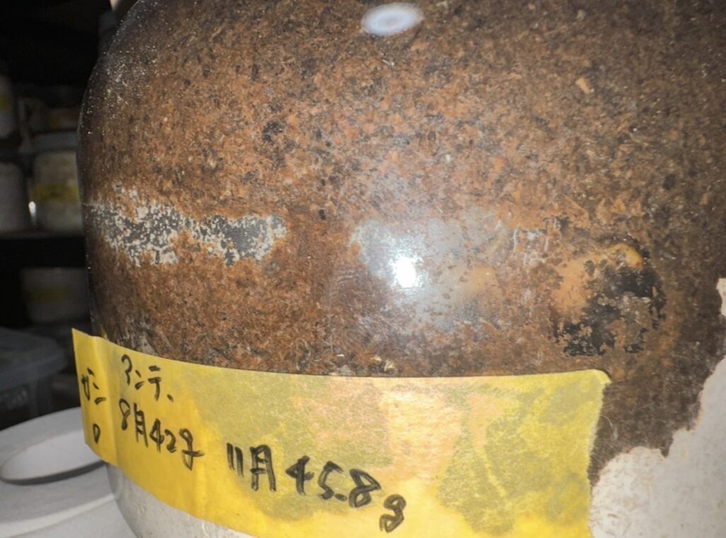 アンテ羽化したて2