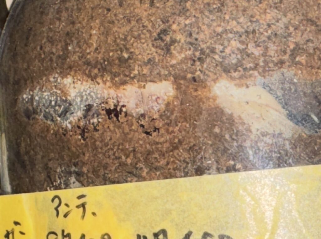 インドアンテ羽化3