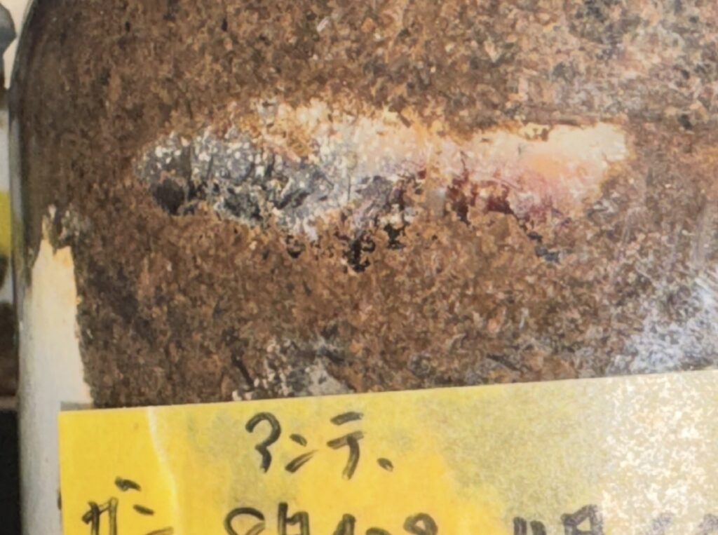 インドアンテ羽化4