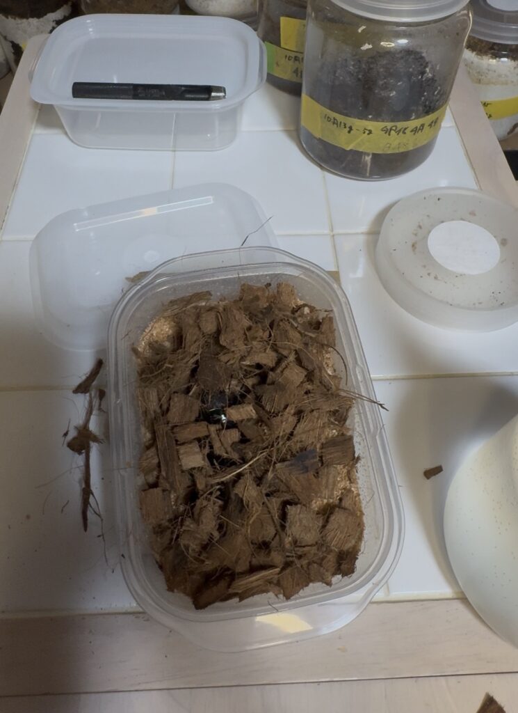 ハスクチップ入れ